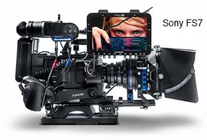 fs7-side-view-eyes-small